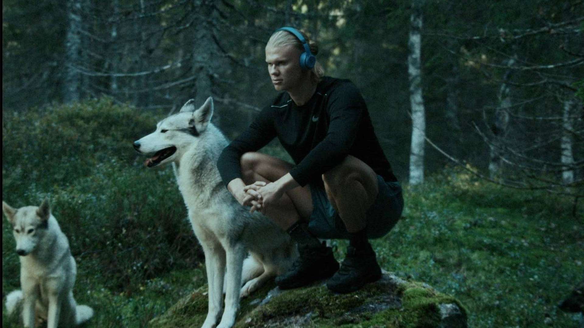 更在于他未 更在于他未